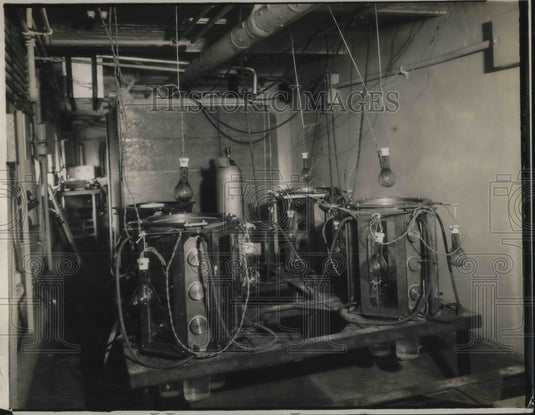 1932 Press Photo Special growth Chamber for growing tomatoes and other plants-Historic Images