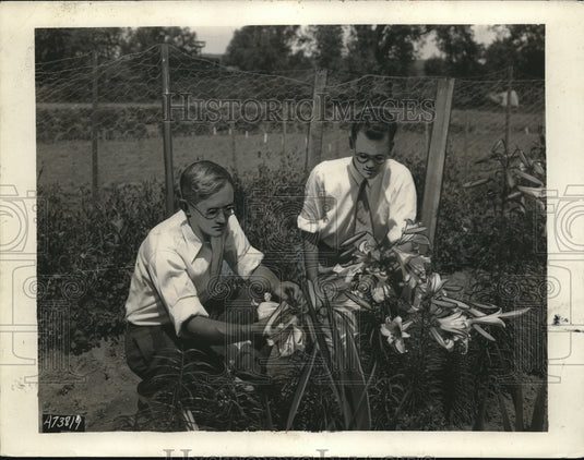 1932 Press Photo N Moore & CP Haskins Tend To Garden - Historic Images