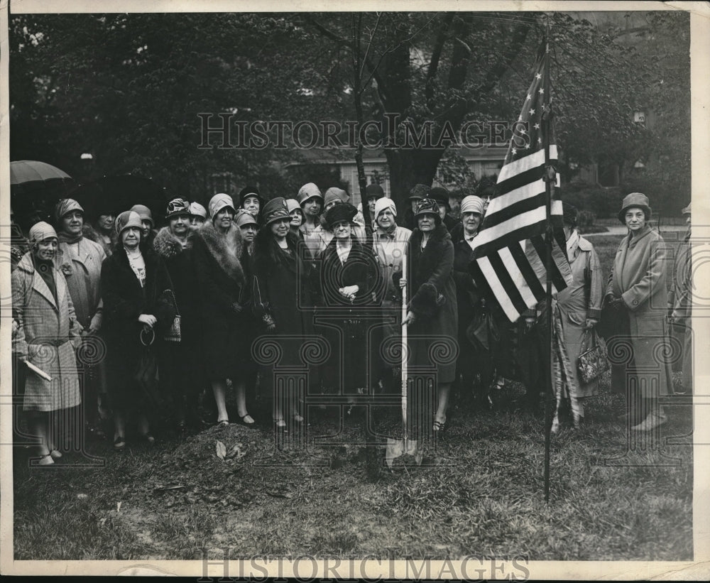 1929 Press Photo Oak Tree planted in Capital For Mrs cColidge-Historic Images