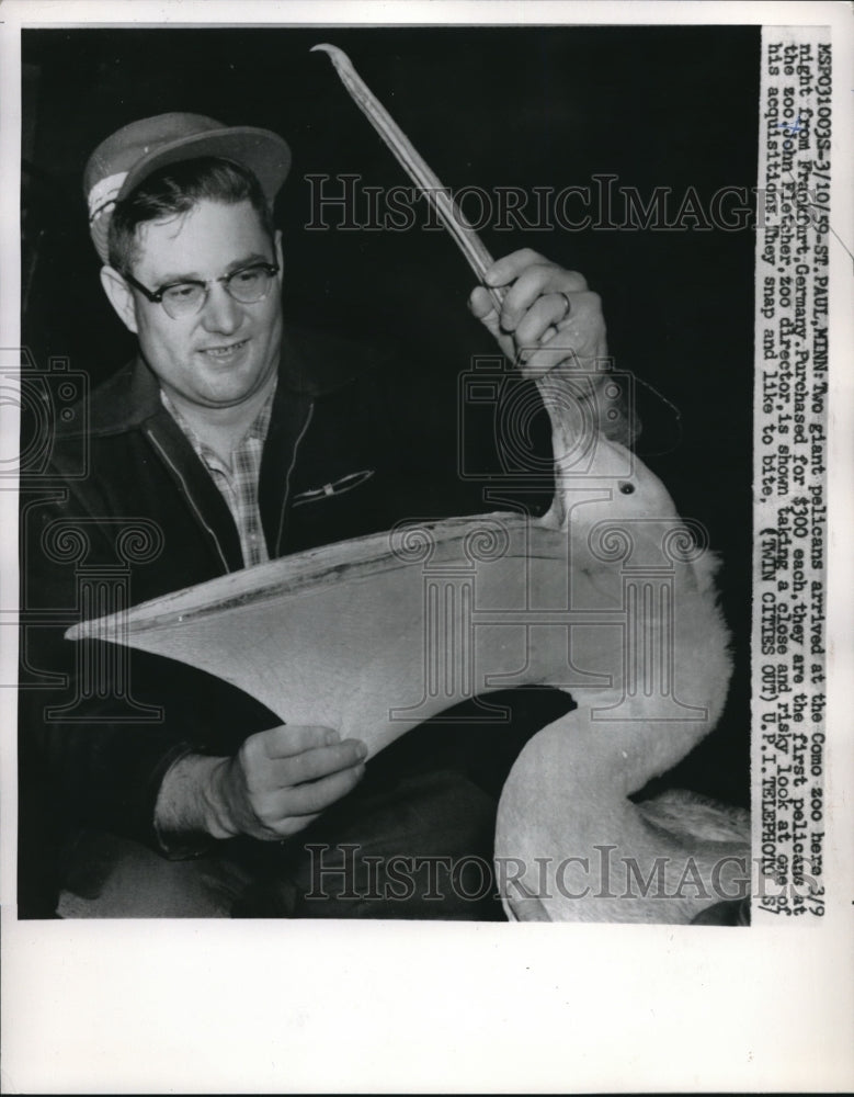 1959 Press Photo Two giant pelicans arrived at the Como Zoo in St. Paul MINN. - Historic Images