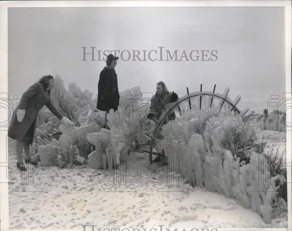 1940 Girls With Ice Covered Shrobs And Ironwork At Chicago Lakefront - Historic Images