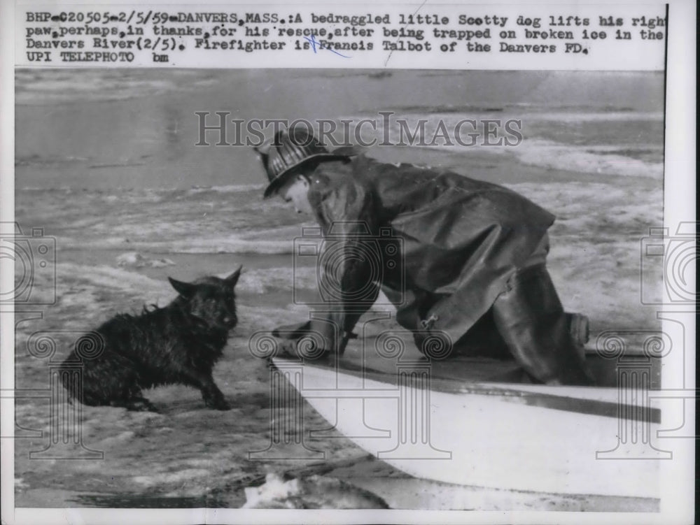 1959 Press Photo Danvers Fireman Francis Talbot Saves Dog on Danvers River - Historic Images