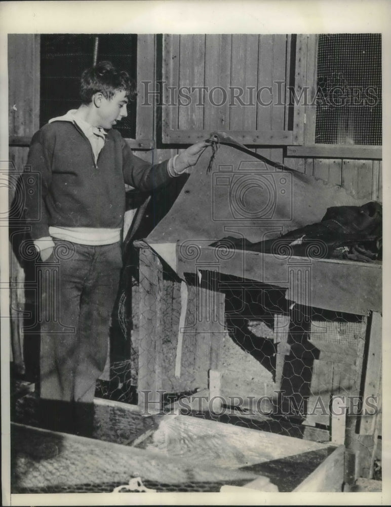 1933 Press Photo Frank Smith Looks At Chicken Coop Where He Found Girl Locked Up - Historic Images