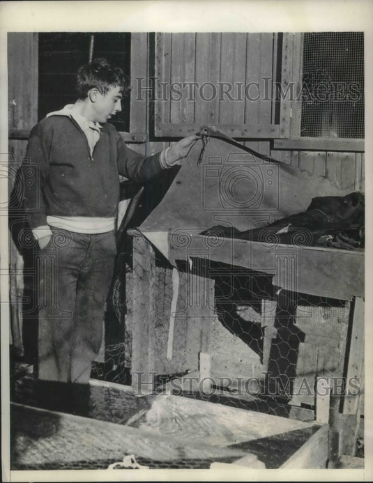 1933 Press Photo Frank Smith Looks At Chicken Coop Where He Found Girl Locked Up - Historic Images