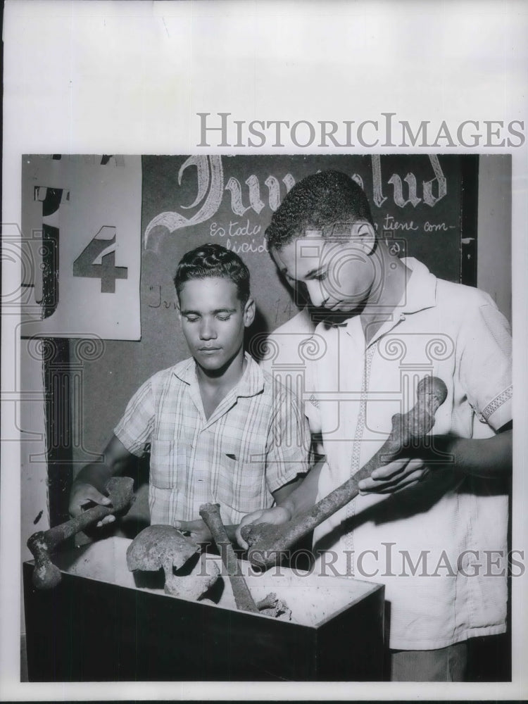 1962 Press Photo Bones found on farm in Domician Republic - Historic Images