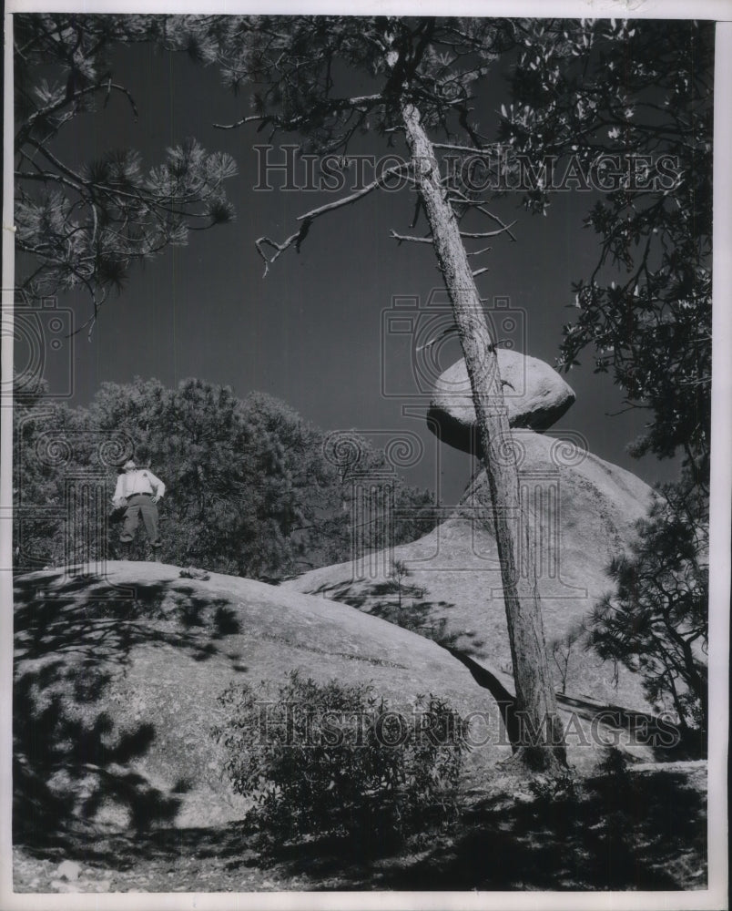 1950 Press Photo Dr Douglas in the Catalina Mountains looks for trees - Historic Images