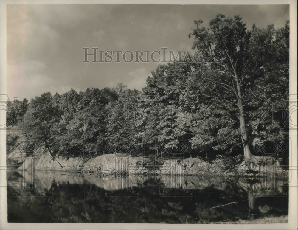 1948 Press Photo Trees On Riverbank In Rocky River Metro Park - Historic Images