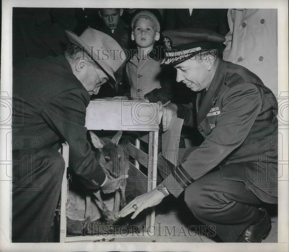 1946 Press Photo William Mann &amp; Thomas Davis Uncrate Australian Kangaroo - Historic Images