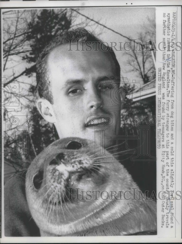 1963 Raleigh, NC Jim Knowlton &amp; a lost seal pup he rescued - Historic Images