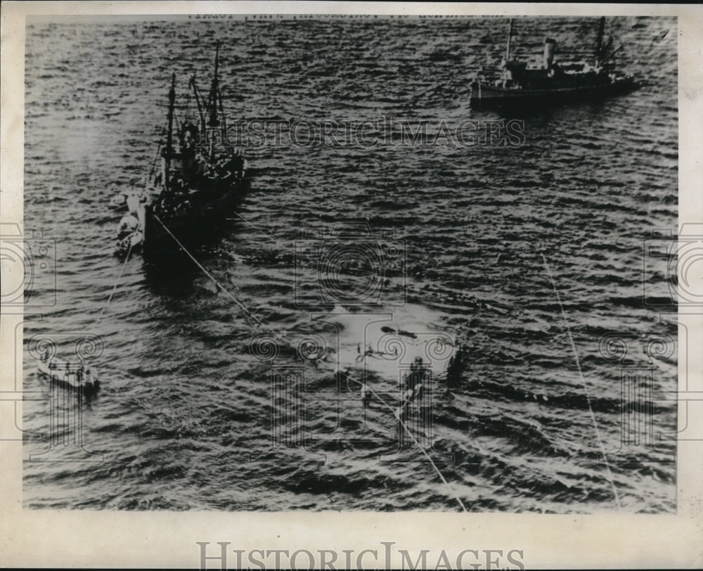 Press Photo Running Sail Fish First time - Historic Images