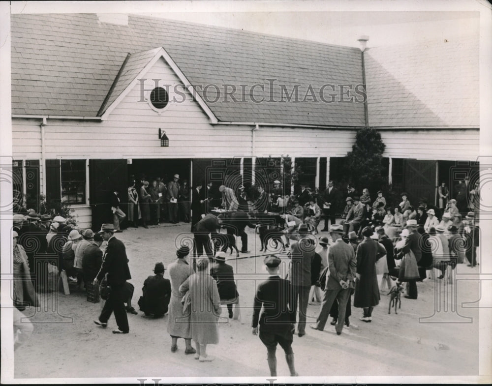 1935 Press Photo Annual Pinehurst Kennel Club Dog Show - Historic Images