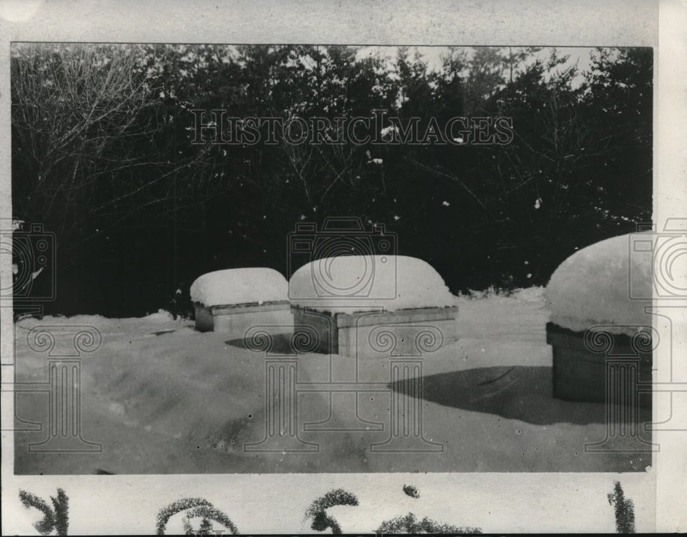 1928 Press Photo Bee Hives in Winter - Historic Images