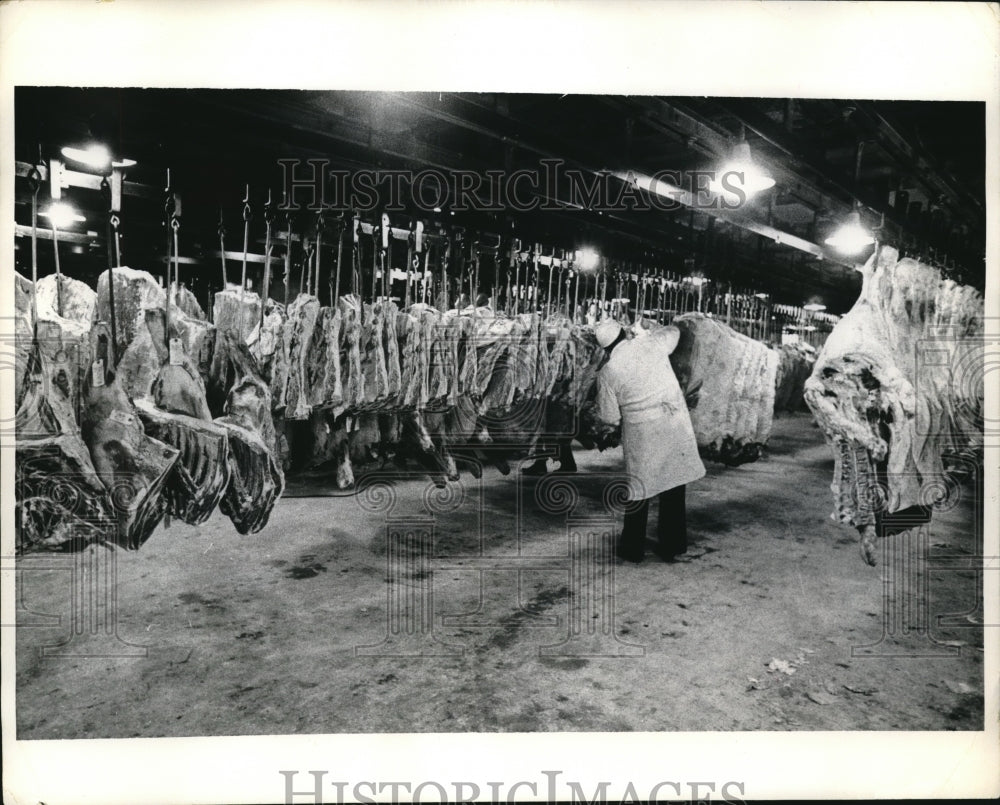 1973 Press Photo Cow Carcasses Hang In Meat Processing Plant Freezer In New York - Historic Images