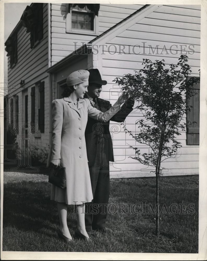 1941 Press Photo All-American Couple Inspects Baby Tree At New Suburban House - Historic Images