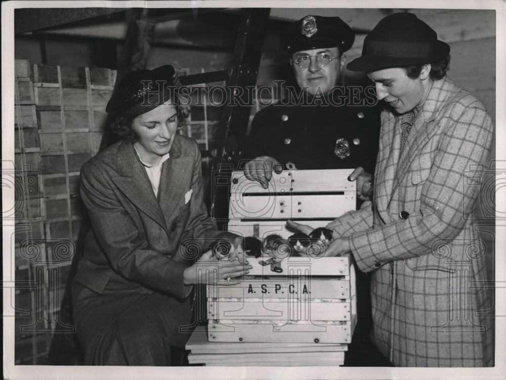 1936 Press Photo ASPCA Workers With Box Of Kittens For Indu Home Blind Workers - Historic Images