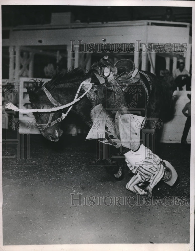 1950 Norman Stinettte thrown off a bucking saddle bronco at Omaha - Historic Images