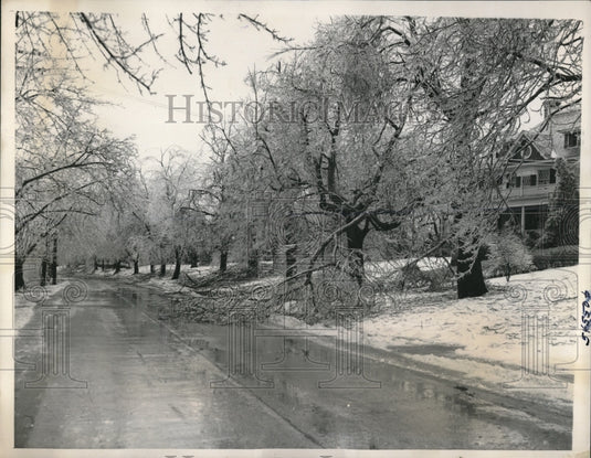 1940 Press Photo Trees breaks by Freezing Rain at White Plains New York. - Historic Images