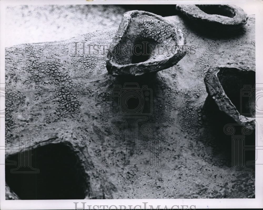 1965 Press Photo Close Up Of Clay Pots On Display-Historic Images