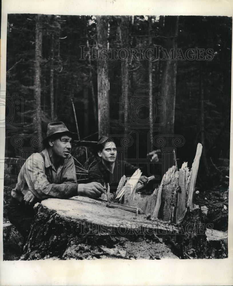 1944 Press Photo Sam Stanstead &amp; Ed Johnson felling trees in B.C&gt; Canada-Historic Images