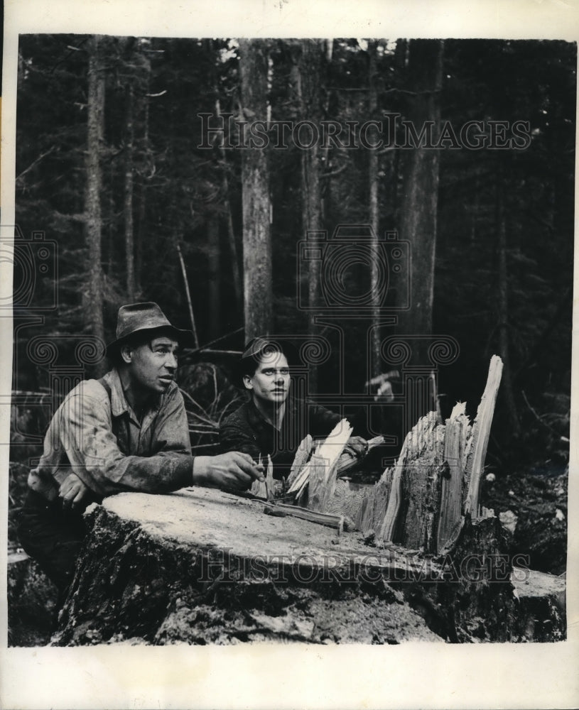 1944 Press Photo Sam Stanstead & Ed Johnson felling trees in B.C> Canada-Historic Images