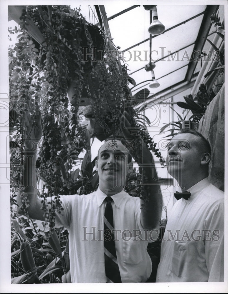 1966 Press Photo Harlan Sherman,Stan Burlage, Greenhouse Club of Cleveland, O - Historic Images