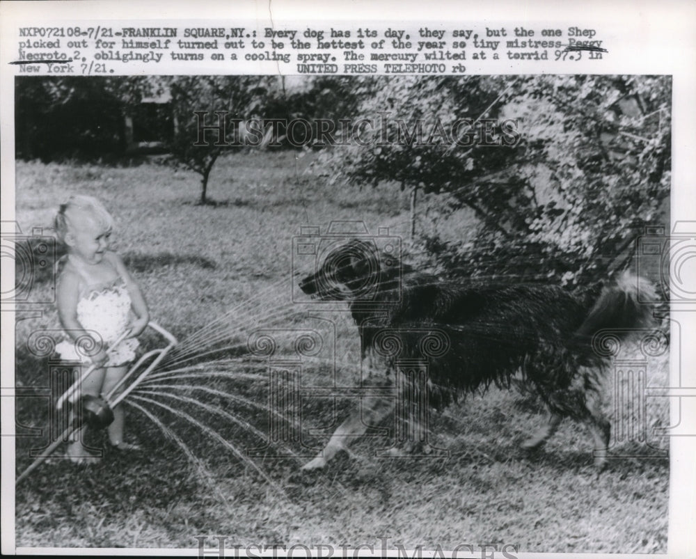 1957 Peggy Necroto Waters the Dog in Franklin Square, NY  - Historic Images