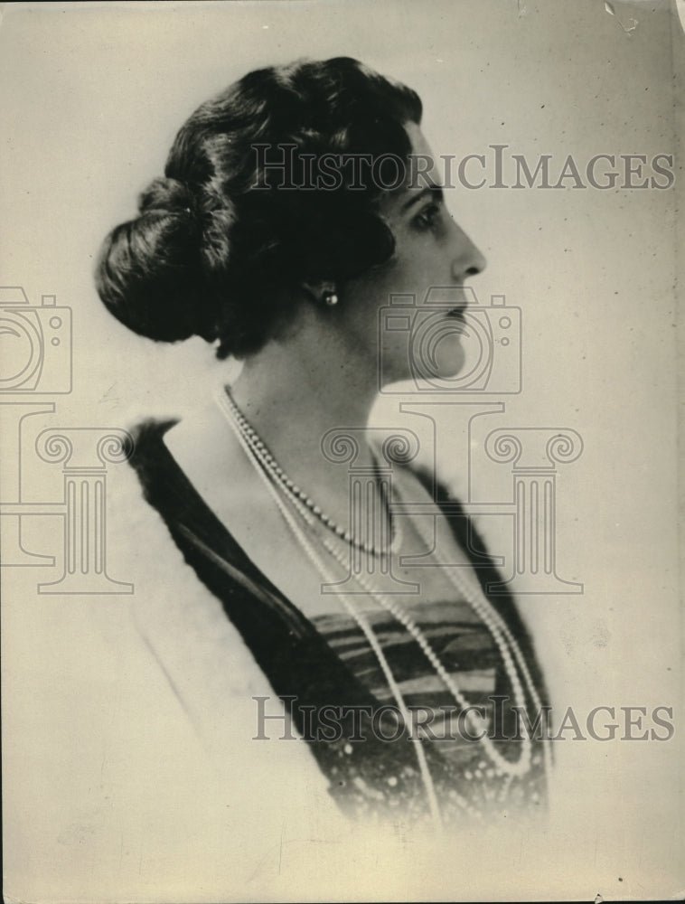 1928 Press Photo Madame Romulo S Naon, wife of Argentine Amb to US - Historic Images