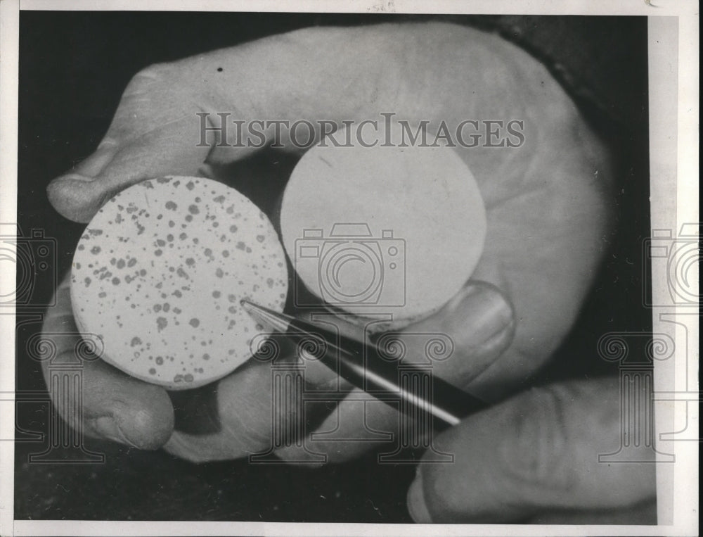 1932 Press Photo Soil test plaques in a close up view - nec34935 - Historic Images