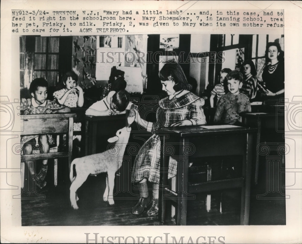 1949 Press Photo Mary Shoemaker Feeds Deer Frisky While In Class - Historic Images