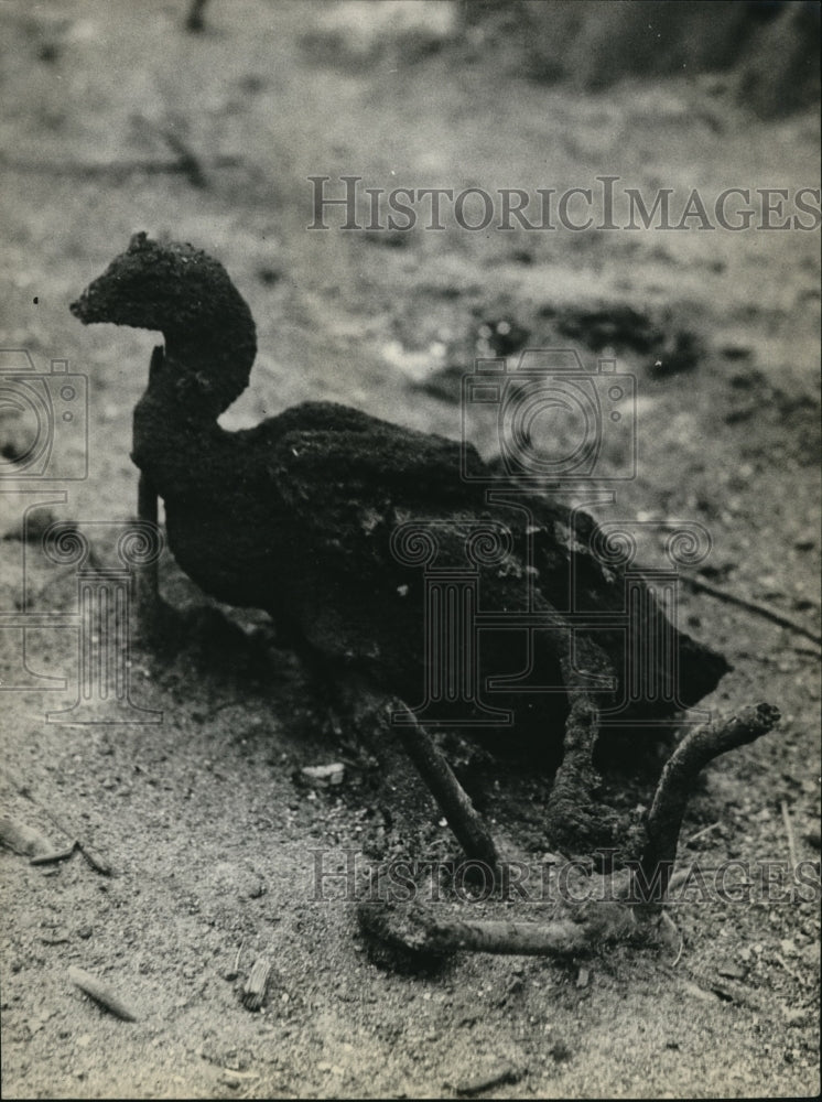 1931 Press Photo A chicken burned to death on Dailey ranch in a forest fire - Historic Images