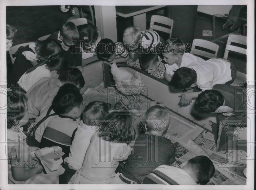 1954 Press Photo Operation Hatchings at the Geo. Patton School - nec36773 - Historic Images