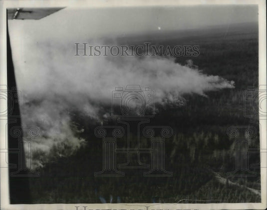 1931 Wisconsin Forest Fires Millions of Damage Already Done - Historic Images