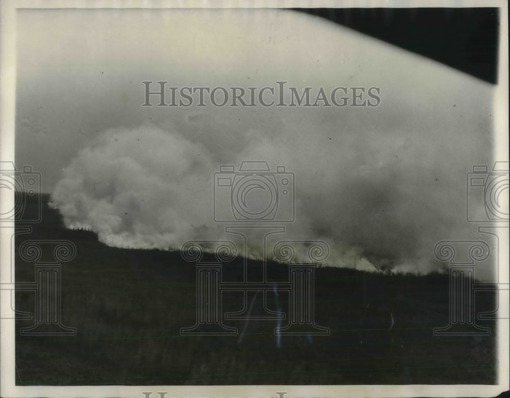 1931 Press Photo Forest Fires - nec37275 - Historic Images
