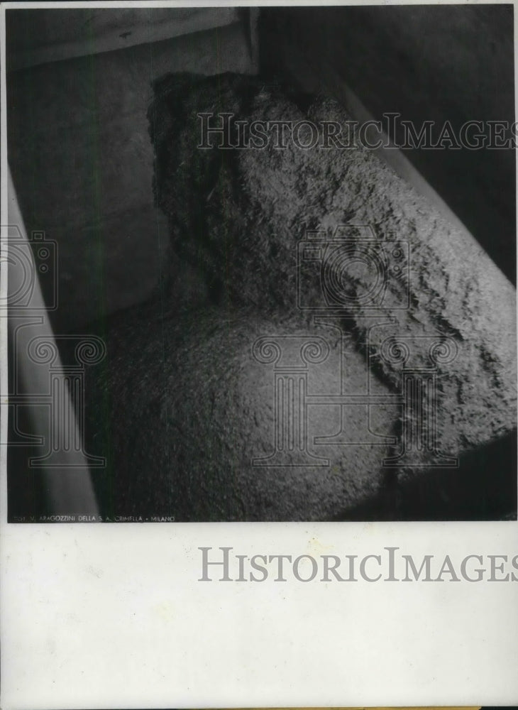 1939 Press Photo Bamboo being put thru a crusher in Italy - Historic Images