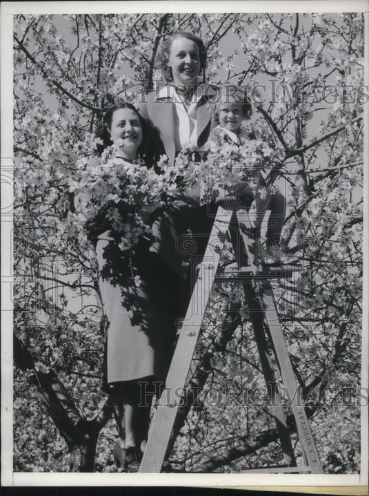1938 Press Photo Roma Donovan and Jennella Tyler couriers of the SS Catalina - Historic Images