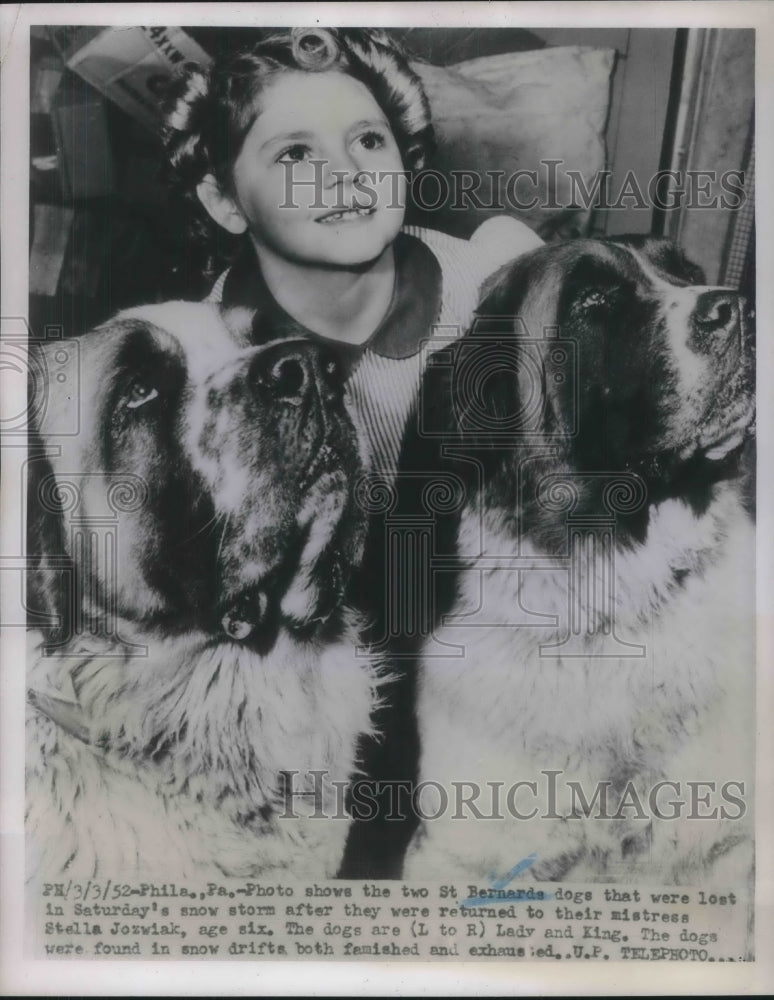 1952 Press Photo Two St Bernard Dogs that were lost returned to Stella Josiwiak-Historic Images