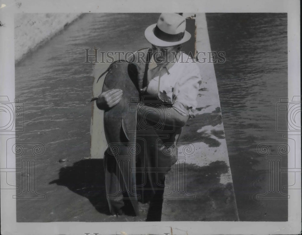 1934 50 lb. artificially propagated catfish caught in Nebraska River - Historic Images