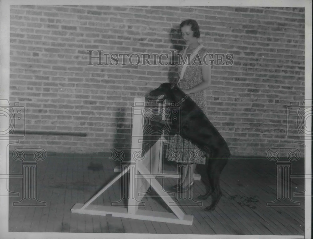 1934 Press Photo Mrs. E. Le Roy Hall Teaches Doberman to Jump at Chicago School - Historic Images