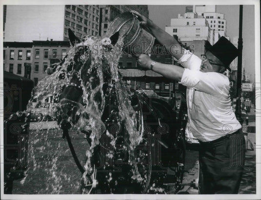 1963 Press Photo Arthur Mcgill supplying water ti the city's horses and dogs - Historic Images
