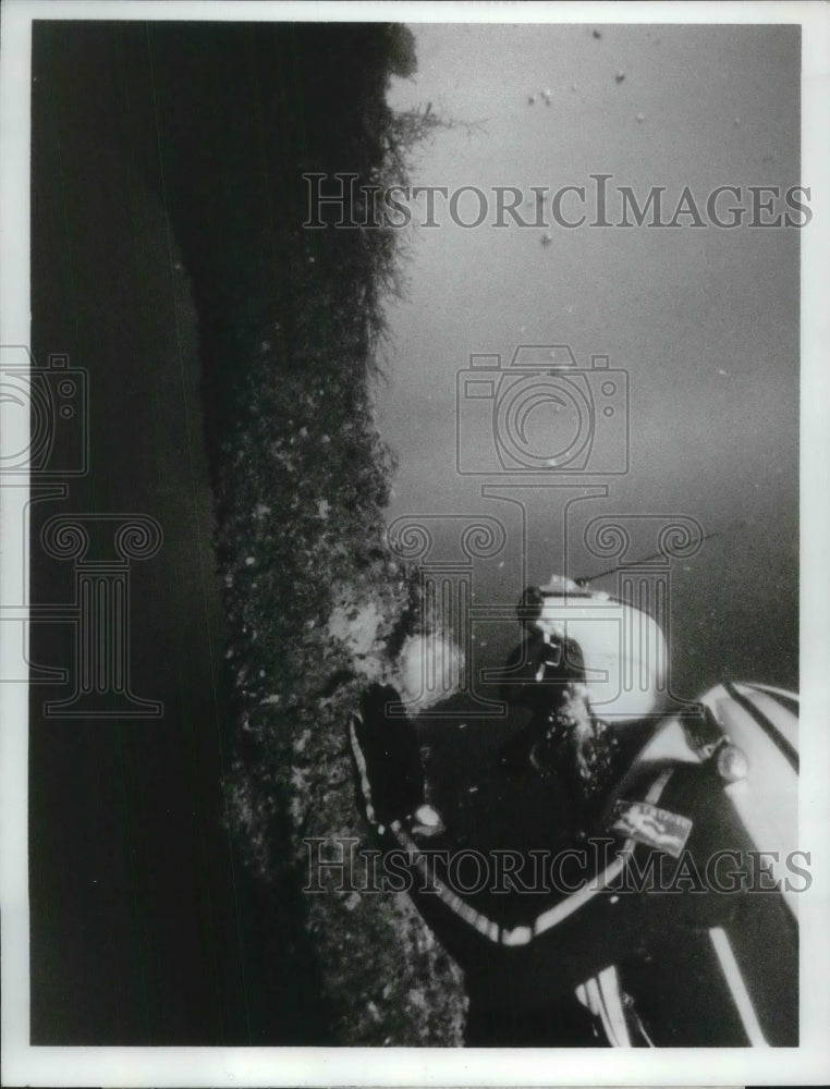 1971 Press Photo Scene from The Undersea world of Jacques Cousteau - Historic Images