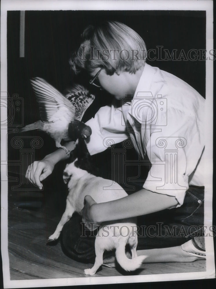 1956 Press Photo The family of Sharon Sims like to play with the dogs - Historic Images