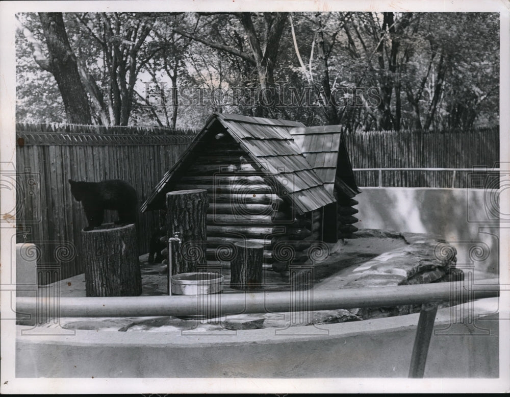 1957 Press Photo Childrens Zoo in Montreal - nec39254 - Historic Images