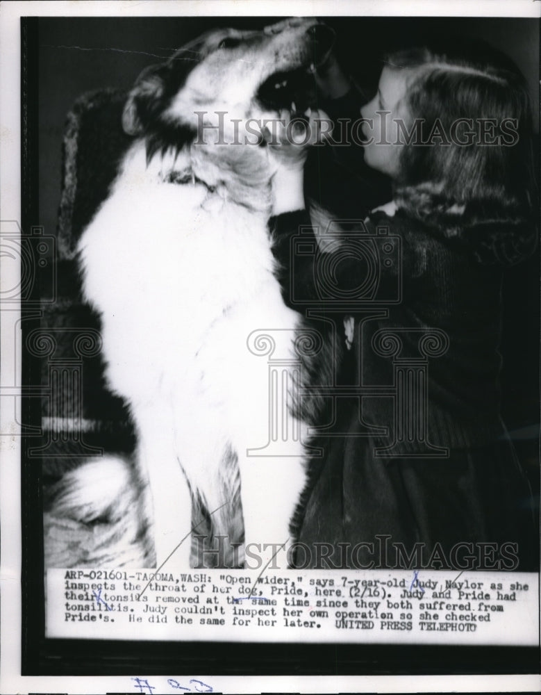 1955 Press Photo Judy Naylor inspecting dog - Historic Images