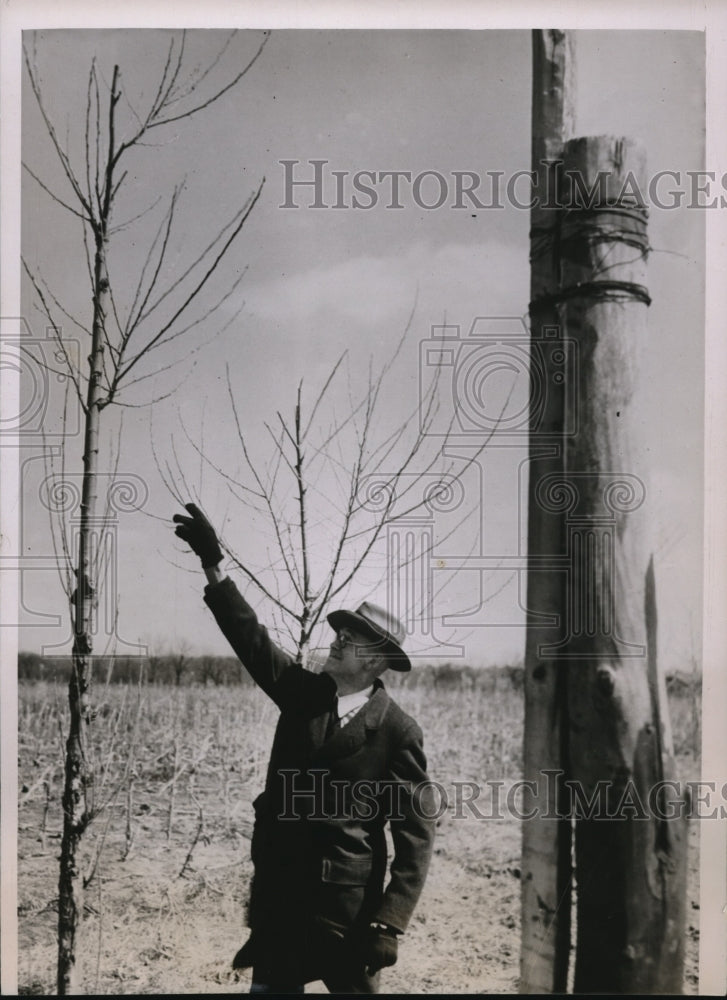 1936 Press Photo Iowa City Farmer Frew Tucker Erects Pole Disrupting Flights - Historic Images