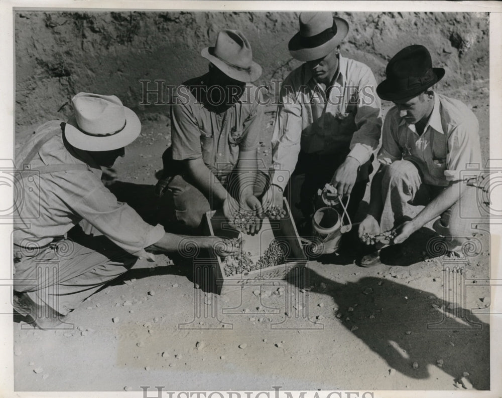 1937 Press Photo Deputy Sheriffs Gathering Tacks Placed by Strikers at Tunnel - Historic Images