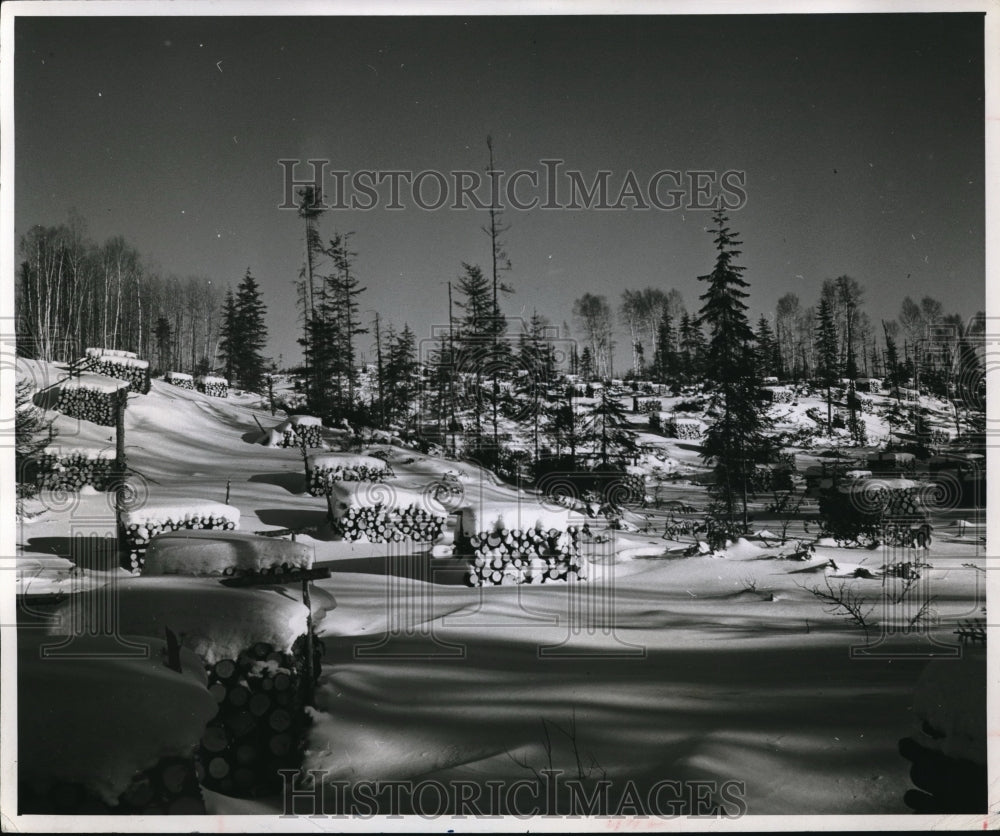 1949 Snow covered landscape in Canada-Historic Images