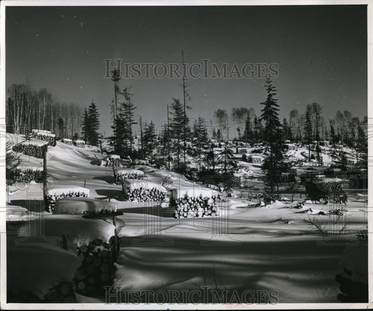 1949 Snow covered landscape in Canada-Historic Images
