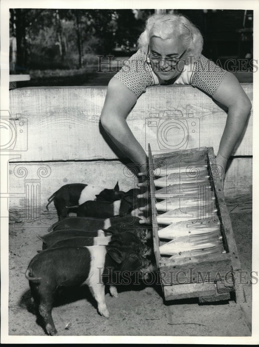 1958 Press Photo Memphis, TN Mrs Ernest Giaccaglia & some piglets - Historic Images