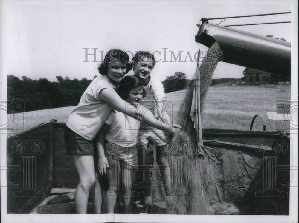 1956 Press Photo Kansas Gold Wheat Gayle Jones Marilyn Ann Spencer In Field - Historic Images