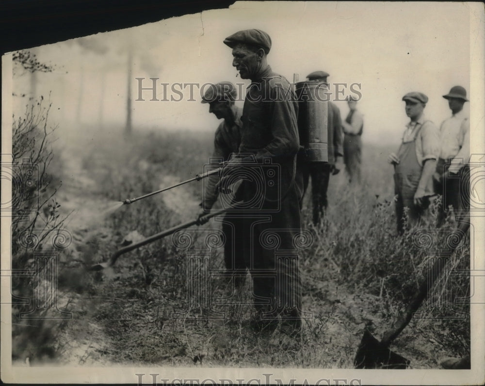 1925 Press Photo Fighting fire by spraying chemicals and digging gaps. - Historic Images